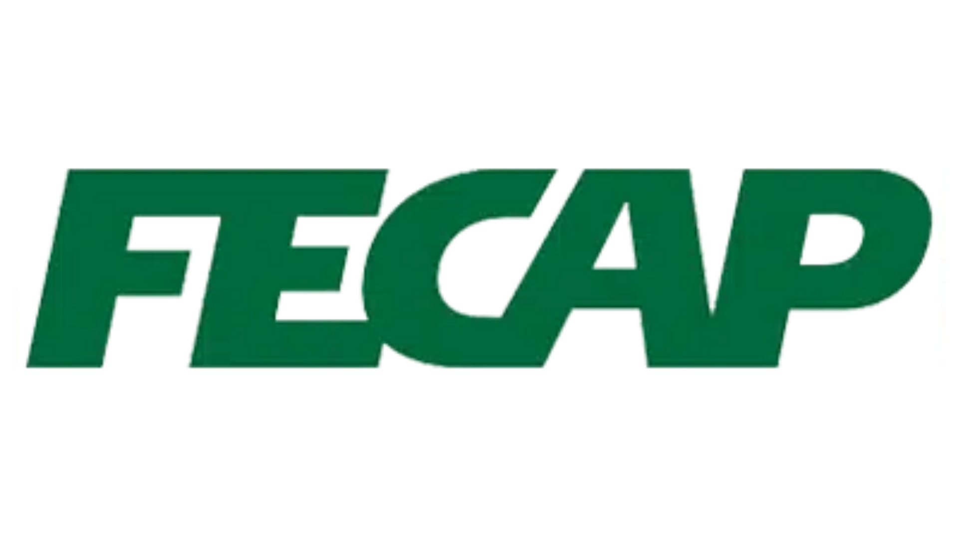 Logo FECAP