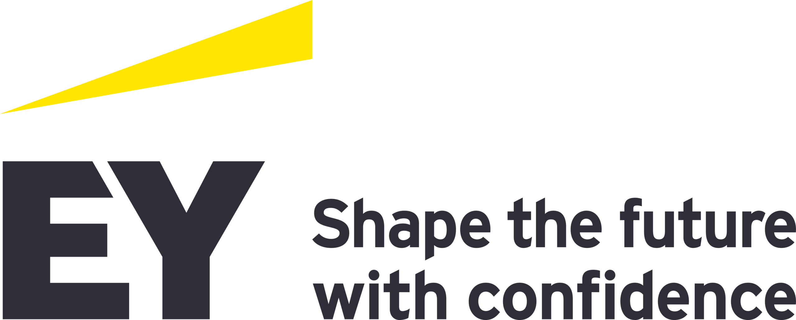 ERNST & YOUNG AUDITORES INDEPENDENTES S/S LTDA